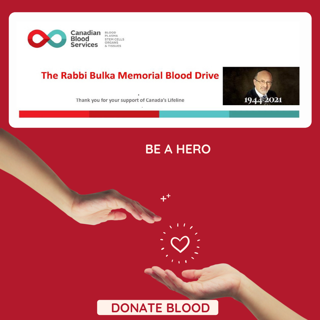 Rabbi Bulka Blood Drive insta